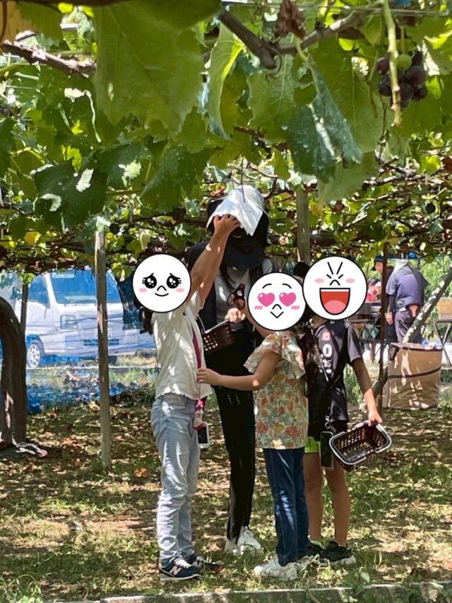 ぶどう狩りの様子2