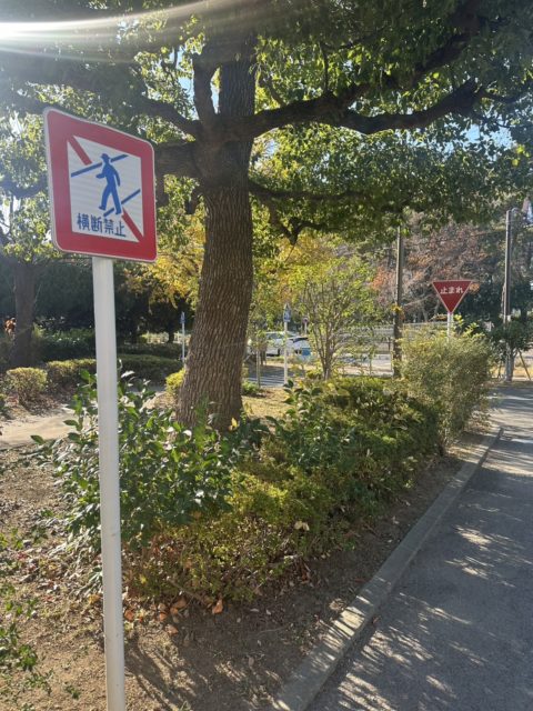 「城東公園」の様子2