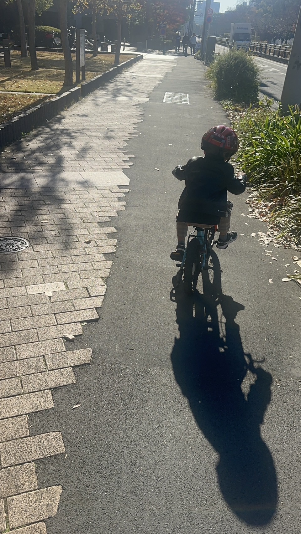 ストライダーに乗る子どもの後ろ姿