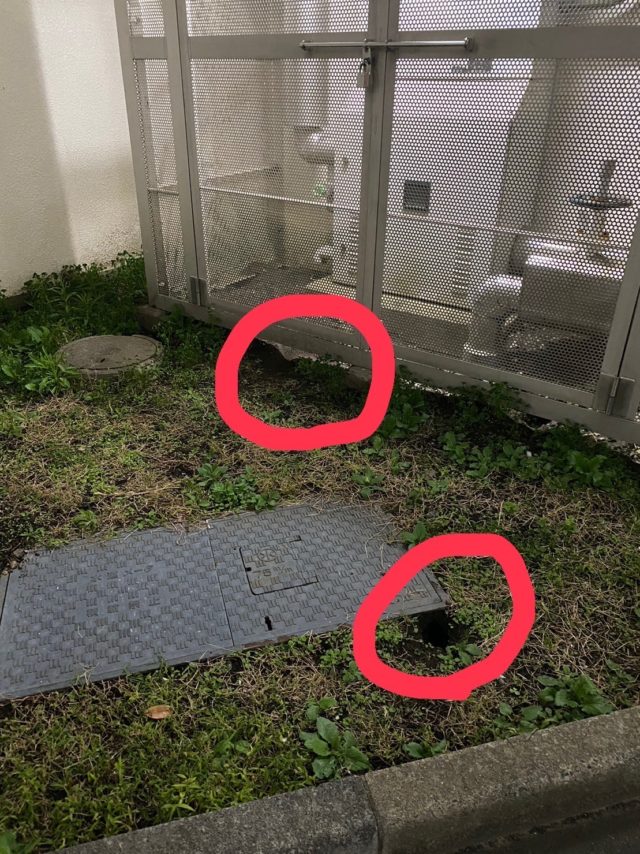 ネズミの発生箇所1