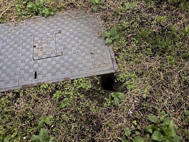 ネズミの発生箇所2